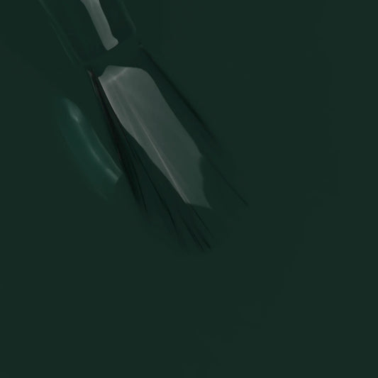 Mesauda MNP - Shine N'Wear - Evergreen N°264 10ml - Lady&Oscar