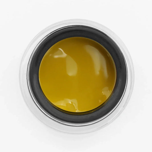 Yoshi Paint Gel YELLOW 5g - Lady&Oscar