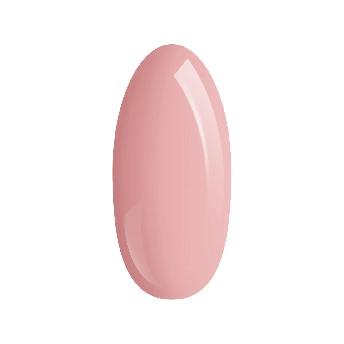 Palu - Pro Light Builder - Gel UV/LED - Classic Cover - Lady&Oscar