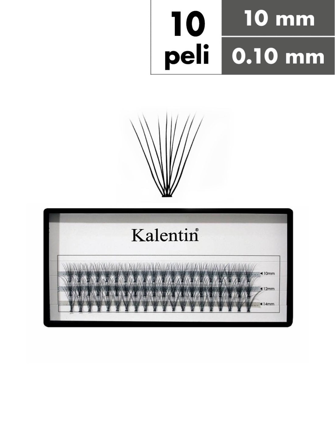 Kalentin Ciglia a Ciuffetti, nodo piatto, 10 peli C10mm