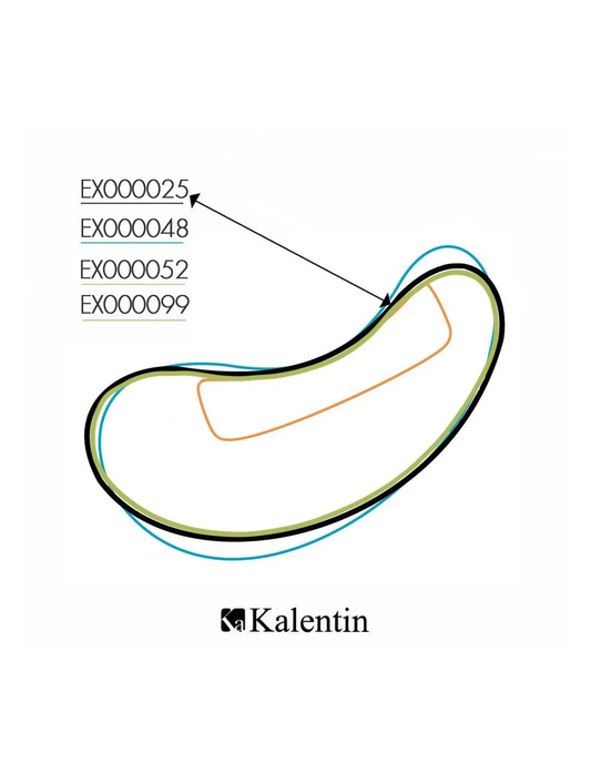 KALENTIN BOX 10PZ ALOE & VIT. C PATCH NERO made in Korea - Lady&Oscar