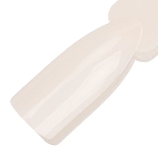 Molly Lac Cartella Colori Con Anello 50Pz