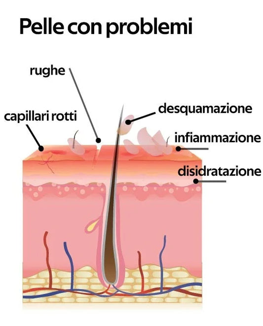LR Wonder Company - Crema Corpo Madre Al Latte D'Asina 250ml - Lady&Oscar