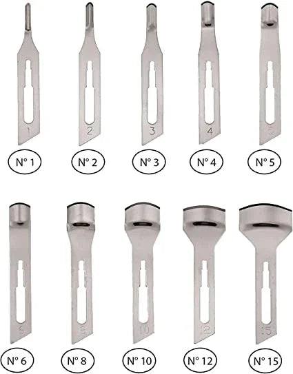 Lame Sgorbie Monouso Sterili - Lady&Oscar