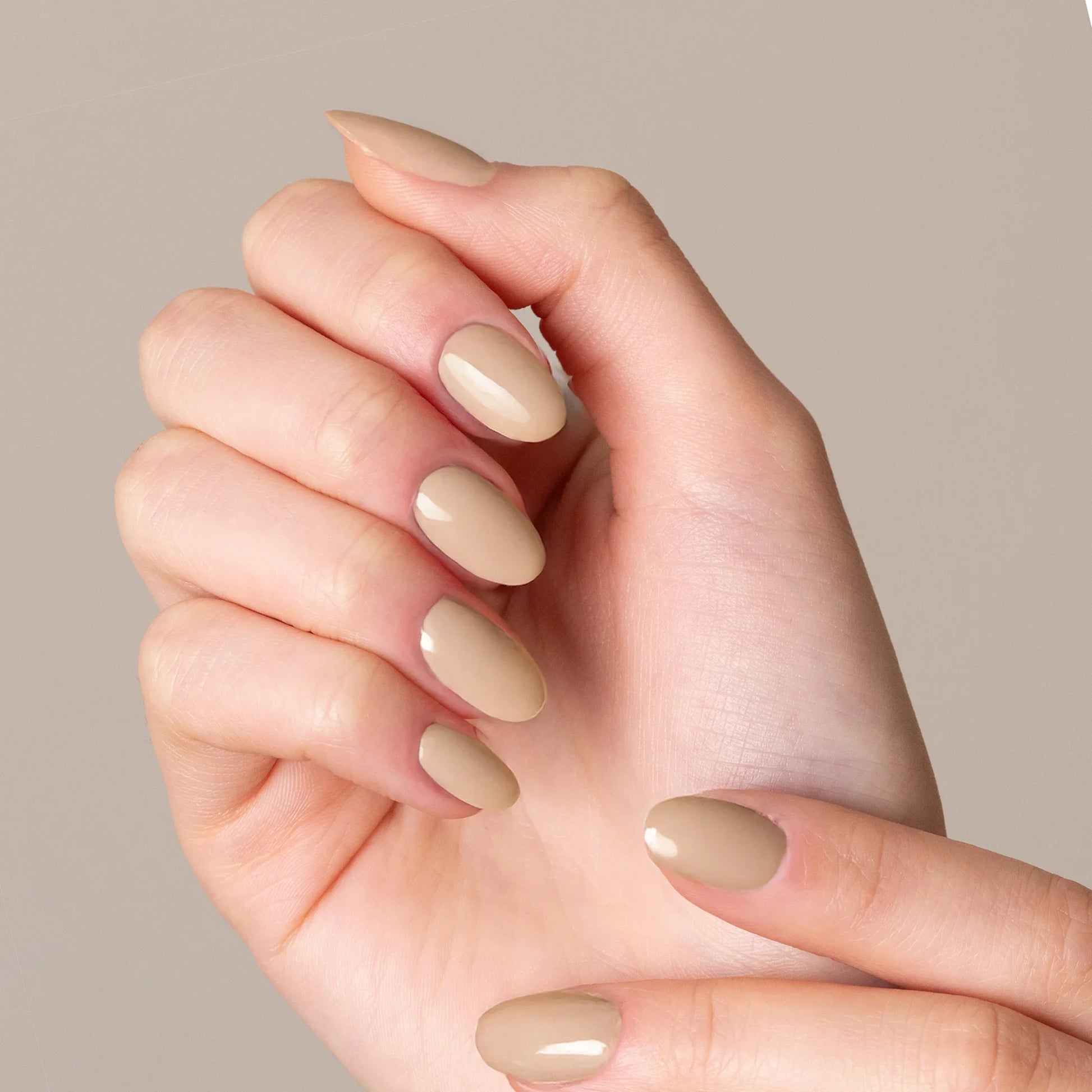 Gelegant 808 Teddy Smalto Semipermanente 8ml - Lady&Oscar