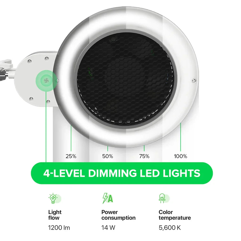 Aspiratore Professionale Alizè - Lady&Oscar