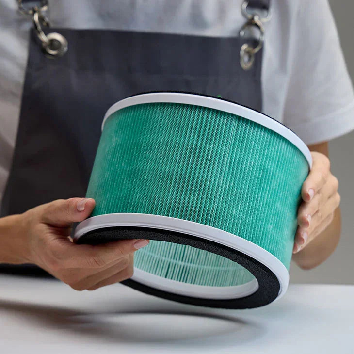 Filtro Aspiratore Maestro - Lady&Oscar