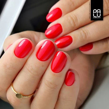 PALU Smalto Semipermanente 4 Collezione Amsterdam 11g - Lady&Oscar