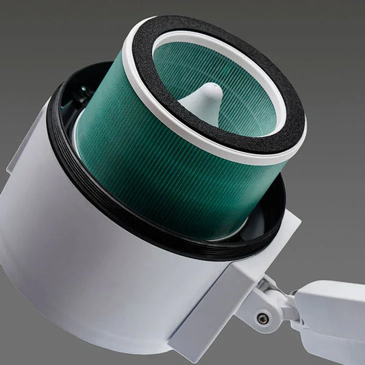 Filtro Aspiratore Maestro - Lady&Oscar