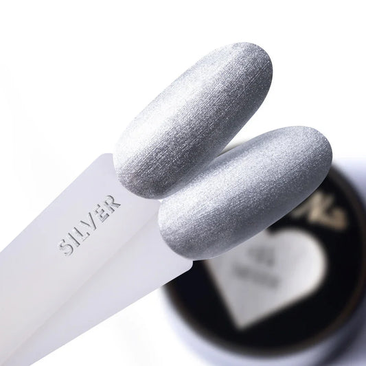 Molly Lac Pro Art Paste #14 Silver 5G