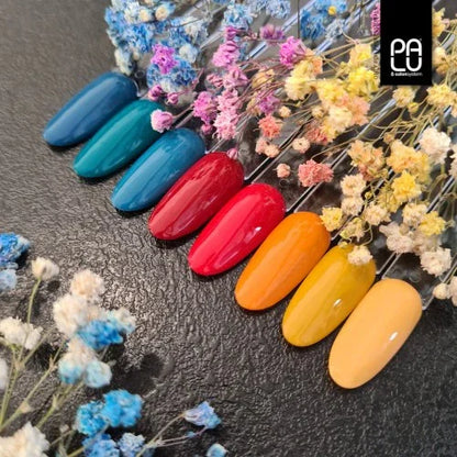 PALU Smalto Semipermanente 4 Collezione Amsterdam 11g - Lady&Oscar