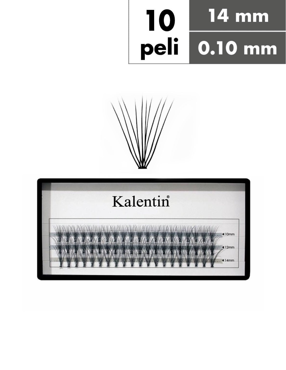 Kalentin Ciglia a Ciuffetti, nodo piatto, 10 peli, 0.10 - 14mm