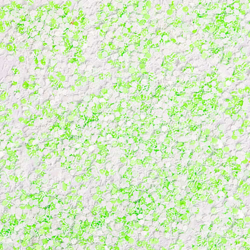 Effetto della polvere Rush Effect Allepaznokcie n. 12 sulle unghie