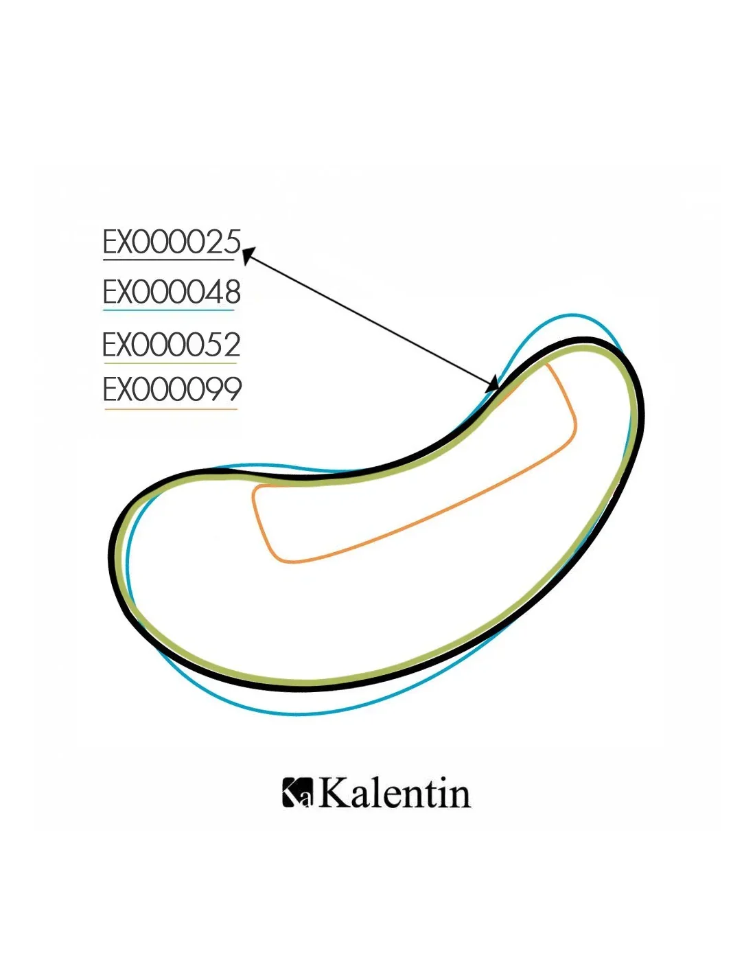 KALENTIN BOX 10PZ ALOE & VIT. C PATCH NERO made in Korea - Lady&Oscar